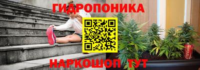 Альфа ПВП Балаково