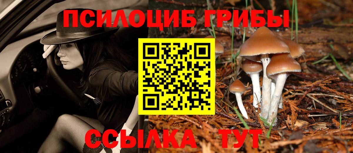 Псилоцибиновые грибы мухоморы  Вход с VPN  Гудермес 
