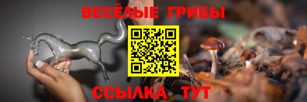 Галлюциногенные грибы GOLDEN TEACHER Гудермес